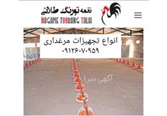 تجهیزات مورد نیاز برای پرورش مرغ تخم گذار