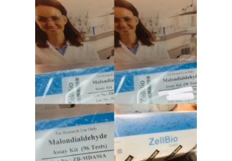 کیت الایزا mda malondialdehyde elisa kit کیت الایزا malondialdehyde