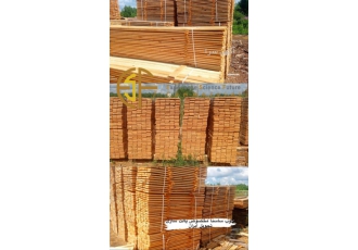 تامین چوب روسی
