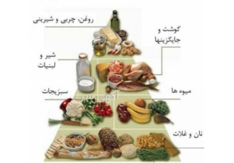 متخصص و کارشناس تغذیه و رژیم درمانی