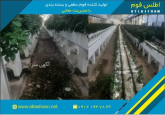 بهترین تولید کننده گلدان یونولیتی در ایران-اطلس فوم