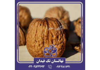 فروش نهال گردو چالدران