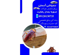 سمپاشی آسمان تخفیف ویژه به مدت یک هفته تسویه بعد از رضایت مشتری یکبار