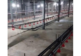 ارائه تجهیزات پیشرفته مرغداری همراه با خدمات پس از فروش بی‌نظیر در اهواز