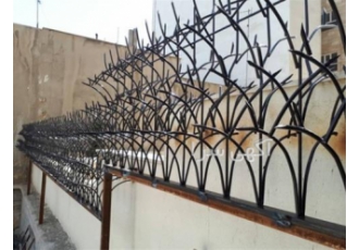 حفاظ پایتخت تولید کننده انواع حفاظ ، حفاظ لیلیوم