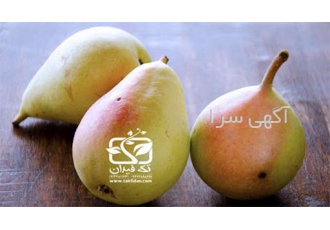 نهال گلابی کوشیا نهالستان تک فیدان در اصفهان تولید نهال گلابی خاص