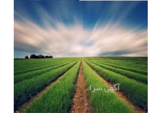واگذاری شرکت آماده پیمانکاری پنج کشاورزی در قزوین واگذاری شرکت آماده