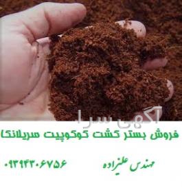 آگهی های معدن - تهران