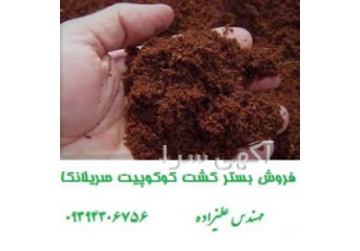 خرید کوکوپیت سریلانکا با کیفیت و ارزان