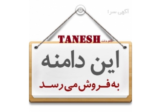 فروش دامنه های طلایی به یاد ماندنی Tanesh و ceevil دامین های Tanesh com