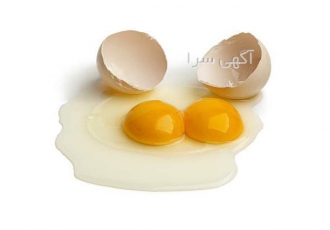 تخم مرغ دو زرده در اردبیل فروش تخم مرغ دو زرده تخم اردک غاز مخصوص مصرف
