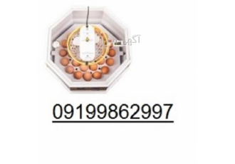 دستگاه جوجه کشی ، خانگی ، 30 تایی ، با کیفیت