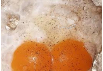 تخم مرغ دوزرده کاملا ارگانیک