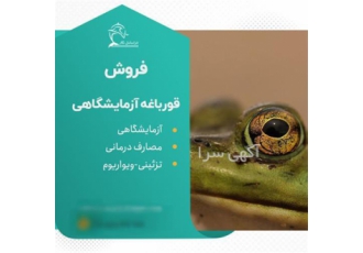 فروش قورباغه آزمایشگاهی درمانی با مجوز رسمی در تهران فروش قورباغه