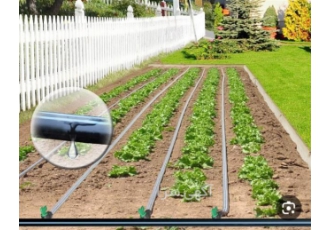 مجری آبیاری قطره ای هوشمند اجرای آبیاری قطره ای در محمودآباد وارد