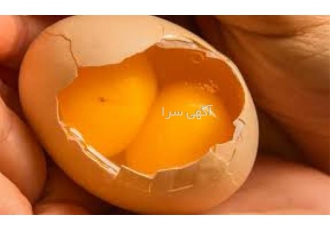 تخم مرغ دو زرده محلی