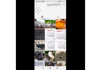 تخم نطفه دار انواع طیور