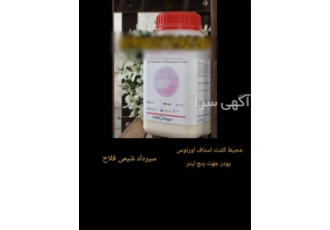 محیط کشت استاف اورئوس