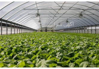 فروش گرید۵ ابنیه و کشاورزی (شرکت گرید دار ابنیه و کشاورزی ) در تهران