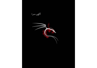 آکادمی فوق تخصصی شبکه و امنیت شرکت دایان فعال در زمینه های شبکه