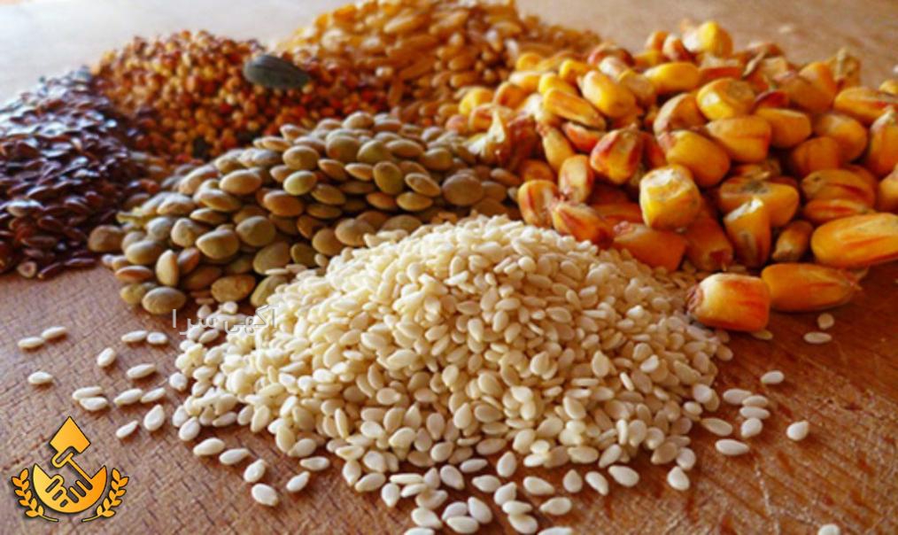 واردات ذرت از برزیل