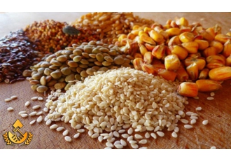 واردات و فروش جو ، ذرت ، گندم ، کنجاله