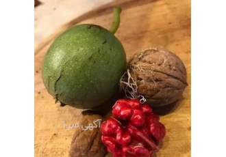 فروش نهال گردو قرمز با کیفیت بالا و باردهی مناسب
