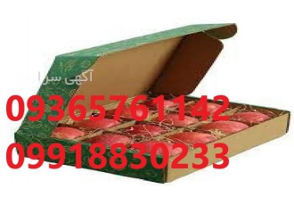 کارتن میوه چاپ کارتن میوه قیمت کارتن میوه در کرج کارتن میوه چاپ