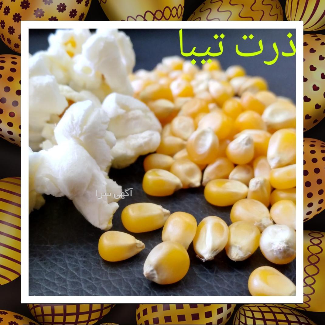 آگهی های صادرات و واردات - تهران