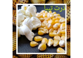 شرکت زرین تجارت فرد البرز