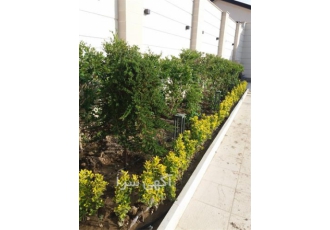 اجرای آبیاری قطره ای هوشمند، مجری و تامین کننده لوازم آبیاری قطره ای