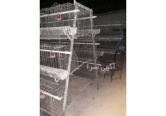 فروش قفس مرغ تخمگذار و مرغ گوشتی مرغوب