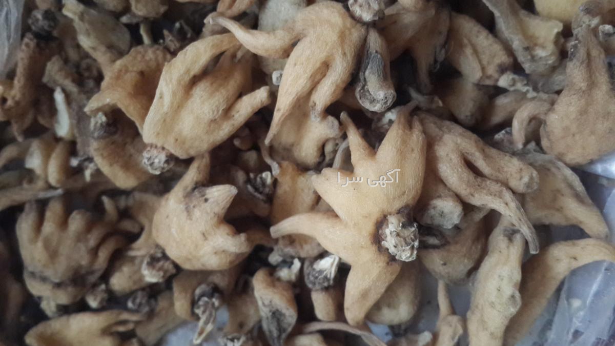 آگهی های صادرات و واردات - آذربایجان شرقی