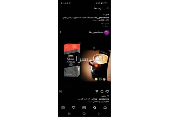 نماینده فروش قهوه گانودرما دکتر بیز با قیمت مناسب در رامسر فروش قهوه