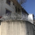 خرید حفاظ شاخ گوزنی با ارتفاع مختلف در گرگان خرید حفاظ شاخ گوزنی