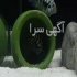تمامی خدمات آکواریوم در تهران انجام کلیه خدمات آکواریم در محل کار