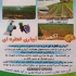 آبیاری اتوماتیک در چهاردانگه طراحی واجرای آبیاری قطره ای و بارانی
