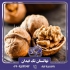 فروش نهال گردو چالدران در میاندوآب نهال گردو چالدران یکی از بهترین