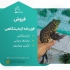 فروش قورباغه آزمایشگاهی درمانی با مجوز رسمی در تهران فروش قورباغه