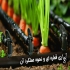 تجهیزات آبیاری اجرای آبیاری هوشمند در سرخرود تجهیزات آبیاری قطره ای