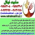 فروش نهال گردو پدرو در مشهد فروش نهال میوه گردو پدرو گردو پدرو پیوندی