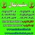 فروش نهال گردو لارا در مشهد فروش نهال میوه گردو لارا گردو لارا یکی