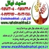 فروش نهال گردو هارتلی در مشهد فروش نهال میوه گردو هارتلی گردو هارتلی
