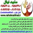 فروش نهال گردو خوشه ای در مشهد فروش نهال میوه گردو خوشه ای گردو خوشه ای