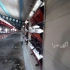 فروش لوازم پرورش مرغ گوشتی مرغوب و مرغ تخم گذار در آباده طشک فروش لوازم