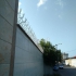 فروش شاخ گوزنی ارزان در رشت خرید حفاظ شاخ گوزنی در گیلان حفاظ شاخ گوزنی