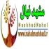 فروش نهال گردو پکان در مشهد فروش نهال میوه گردو پکان آمریکایی گردو پکان
