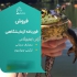 فروش قورباغه آزمایشگاهی درمانی با مجوز رسمی در تهران فروش قورباغه