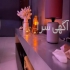 خدمات ماساژ لاغری و فیشال در آکادمی اسپای لوندر در تهران ارائه انواع