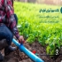 تجهیزات آبیاری قطره ای هوشمند با کیفیت و متنوع در سرخرود تجهیزات آبیاری